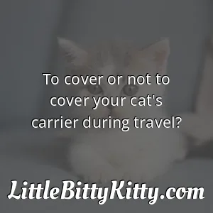 To cover or not to cover your cat's carrier during travel?