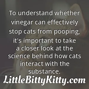 To understand whether vinegar can effectively stop cats from pooping, it's important to take a closer look at the science behind how cats interact with the substance.