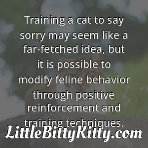 Training a cat to say sorry may seem like a far-fetched idea, but it is possible to modify feline behavior through positive reinforcement and training techniques.