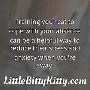 Training your cat to cope with your absence can be a helpful way to reduce their stress and anxiety when you're away.