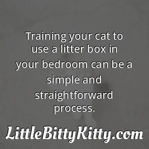Training your cat to use a litter box in your bedroom can be a simple and straightforward process.