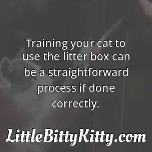 Training your cat to use the litter box can be a straightforward process if done correctly.