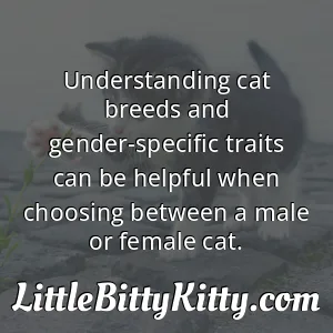 Understanding cat breeds and gender-specific traits can be helpful when choosing between a male or female cat.