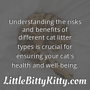 Understanding the risks and benefits of different cat litter types is crucial for ensuring your cat's health and well-being.