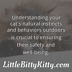 Understanding your cat's natural instincts and behaviors outdoors is crucial to ensuring their safety and well-being.