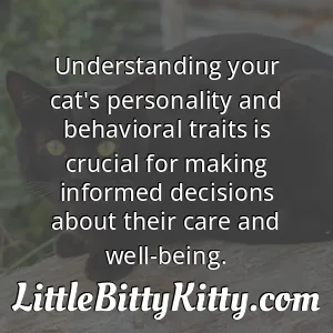 Understanding your cat's personality and behavioral traits is crucial for making informed decisions about their care and well-being.