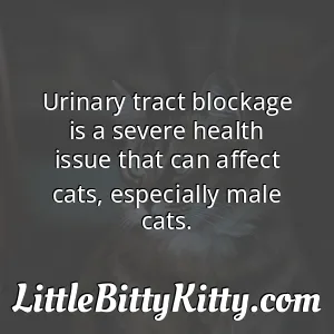 Urinary tract blockage is a severe health issue that can affect cats, especially male cats.