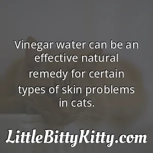Vinegar water can be an effective natural remedy for certain types of skin problems in cats.