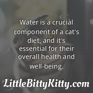 Water is a crucial component of a cat's diet, and it's essential for their overall health and well-being.