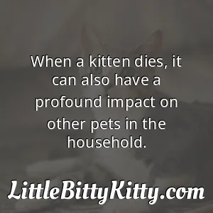 When a kitten dies, it can also have a profound impact on other pets in the household.