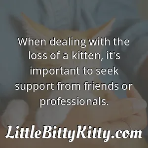 When dealing with the loss of a kitten, it's important to seek support from friends or professionals.