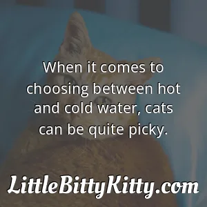 When it comes to choosing between hot and cold water, cats can be quite picky.