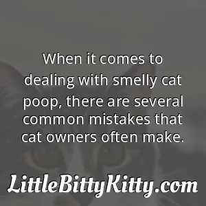 When it comes to dealing with smelly cat poop, there are several common mistakes that cat owners often make.
