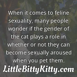 When it comes to feline sexuality, many people wonder if the gender of the cat plays a role in whether or not they can become sexually aroused when you pet them.