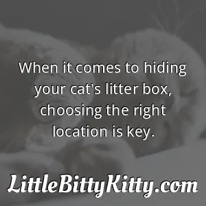 When it comes to hiding your cat's litter box, choosing the right location is key.