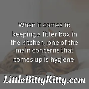 When it comes to keeping a litter box in the kitchen, one of the main concerns that comes up is hygiene.