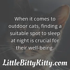 When it comes to outdoor cats, finding a suitable spot to sleep at night is crucial for their well-being.