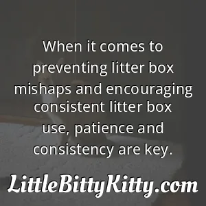 When it comes to preventing litter box mishaps and encouraging consistent litter box use, patience and consistency are key.
