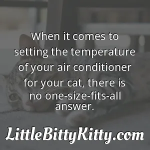 When it comes to setting the temperature of your air conditioner for your cat, there is no one-size-fits-all answer.
