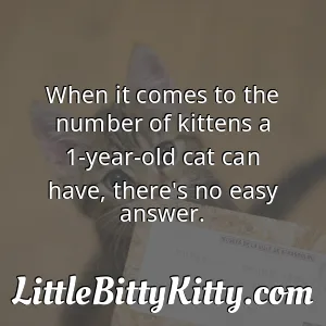 When it comes to the number of kittens a 1-year-old cat can have, there's no easy answer.