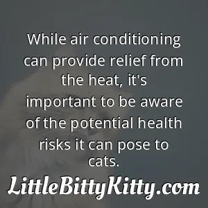 While air conditioning can provide relief from the heat, it's important to be aware of the potential health risks it can pose to cats.