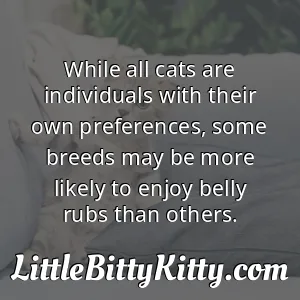 While all cats are individuals with their own preferences, some breeds may be more likely to enjoy belly rubs than others.