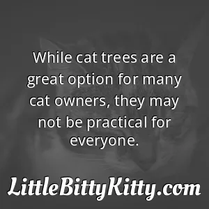 While cat trees are a great option for many cat owners, they may not be practical for everyone.