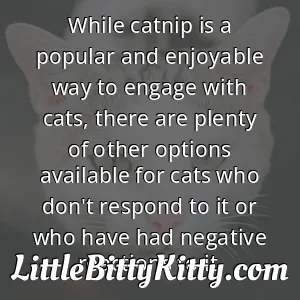 While catnip is a popular and enjoyable way to engage with cats, there are plenty of other options available for cats who don't respond to it or who have had negative reactions to it.