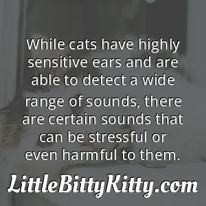 While cats have highly sensitive ears and are able to detect a wide range of sounds, there are certain sounds that can be stressful or even harmful to them.