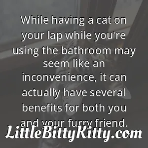 While having a cat on your lap while you're using the bathroom may seem like an inconvenience, it can actually have several benefits for both you and your furry friend.