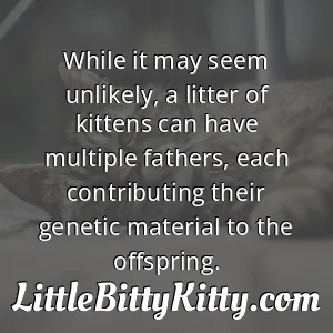 While it may seem unlikely, a litter of kittens can have multiple fathers, each contributing their genetic material to the offspring.