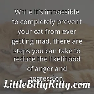 While it's impossible to completely prevent your cat from ever getting mad, there are steps you can take to reduce the likelihood of anger and aggression.