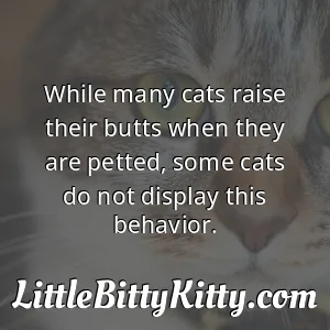 While many cats raise their butts when they are petted, some cats do not display this behavior.