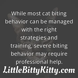 While most cat biting behavior can be managed with the right strategies and training, severe biting behavior may require professional help.