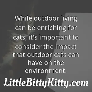 While outdoor living can be enriching for cats, it's important to consider the impact that outdoor cats can have on the environment.