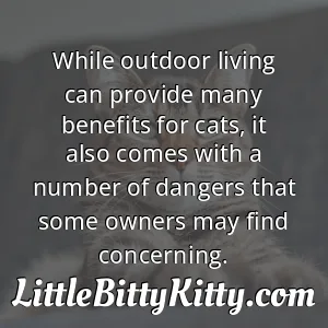 While outdoor living can provide many benefits for cats, it also comes with a number of dangers that some owners may find concerning.
