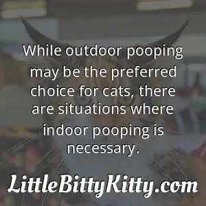 While outdoor pooping may be the preferred choice for cats, there are situations where indoor pooping is necessary.