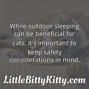 While outdoor sleeping can be beneficial for cats, it's important to keep safety considerations in mind.