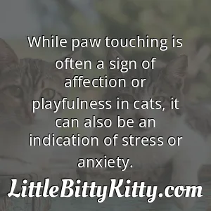 While paw touching is often a sign of affection or playfulness in cats, it can also be an indication of stress or anxiety.