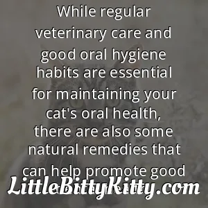 While regular veterinary care and good oral hygiene habits are essential for maintaining your cat's oral health, there are also some natural remedies that can help promote good dental health.