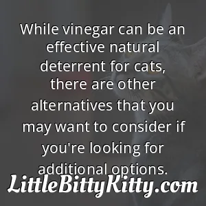 While vinegar can be an effective natural deterrent for cats, there are other alternatives that you may want to consider if you're looking for additional options.
