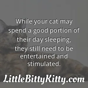 While your cat may spend a good portion of their day sleeping, they still need to be entertained and stimulated.