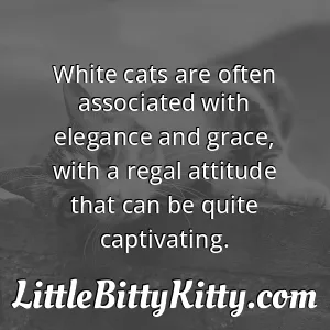 White cats are often associated with elegance and grace, with a regal attitude that can be quite captivating.