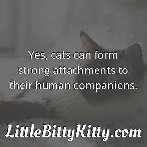 Yes, cats can form strong attachments to their human companions.