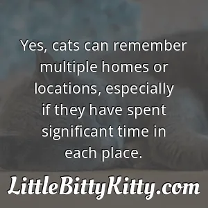 Yes, cats can remember multiple homes or locations, especially if they have spent significant time in each place.