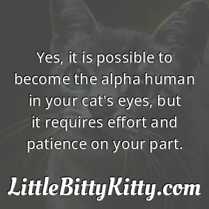 Yes, it is possible to become the alpha human in your cat's eyes, but it requires effort and patience on your part.