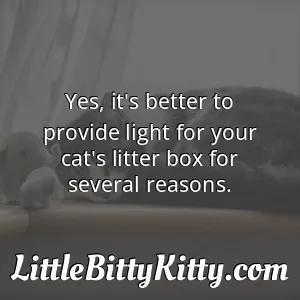 Yes, it's better to provide light for your cat's litter box for several reasons.