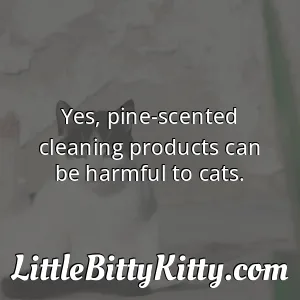 Yes, pine-scented cleaning products can be harmful to cats.