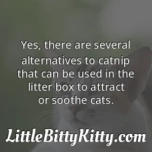 Yes, there are several alternatives to catnip that can be used in the litter box to attract or soothe cats.