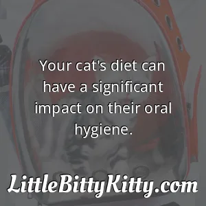 Your cat's diet can have a significant impact on their oral hygiene.